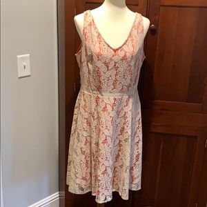 NWT Danny and Nicole Sleeveless Dress